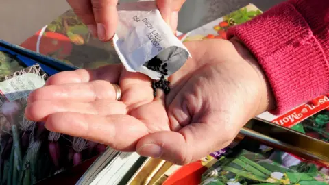 Getty Images Plant seeds