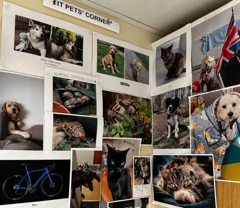 Katie Grant Pets' corner board