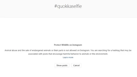 An Instagram notice warning people about quokka selfies and animal abuse says: "You are searching for a hashtag that may be associated with posts that encourage harmful behaviour to animals or the environment."