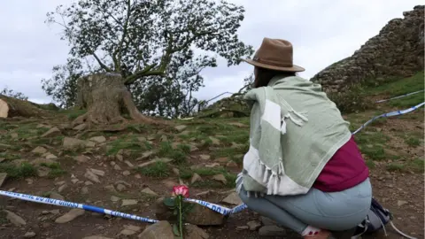 Reuters Sycamore Gap tree felled