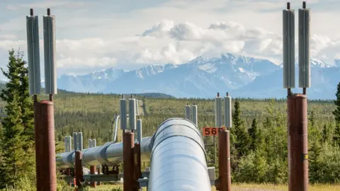 Getty Images Trans-Alaska Pipeline (Alyeska pipeline) running through landscape with Mountain range in the distance in Alaska.