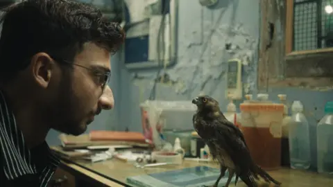 Image courtesy Kiterabbit Films The birds are treated in a derelict basement garage