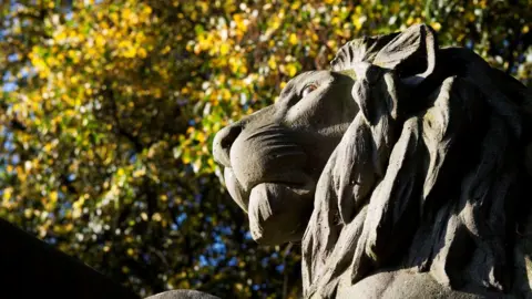 Cardiff council Lion on the wall