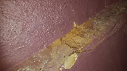 Cardiff Council Rat urine