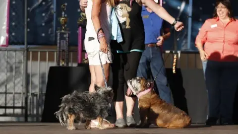 AFP/Getty Megan Brainard (R) from Minnesota, and her dog Zsa Zsa, an English Bulldog and Yvonne Morones (L) and her dog Scamp, a mix breed, hug