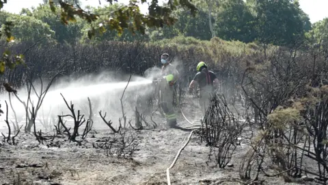 Jamie Niblock/BBC Rushmere Heath fire