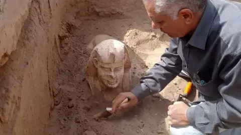 EPA An archaeological worker unearthing a Sphynx statue during in Egypt