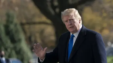 EPA US President Donald Trump at the White House, 29 November 2020