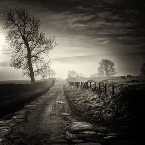 David Mould Image by David Mould