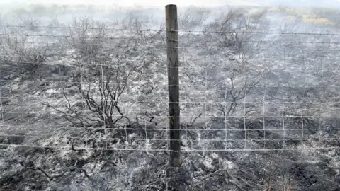 Getty Images Scorched land