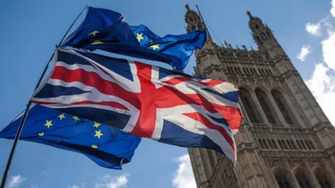 Getty Images Flags outside Parliament