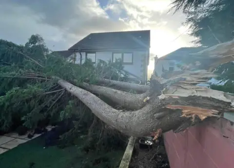 Gregor Fulton/PA Fallen tree at property in Clydebank