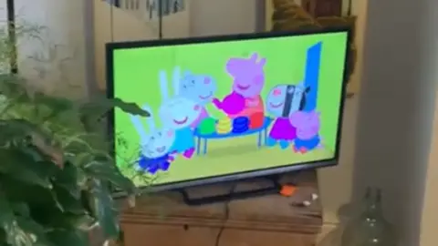 Vicky Price Peppa Pig on TV in Ms Price's house
