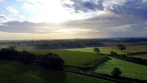 Arundel Bypass Neighbourhood Committee Binsted Woods