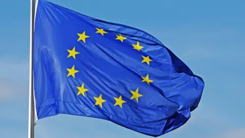 EU flag