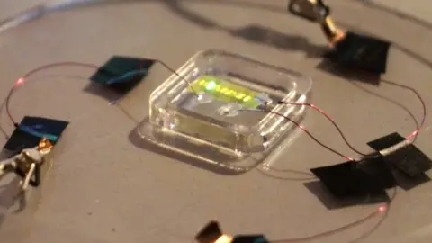 Jonathan Barsotti, IIT UCL group recent experiment