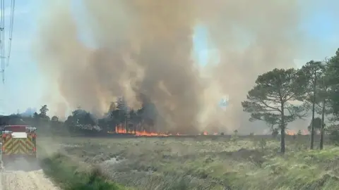 DWFRS Wareham Forest Fire