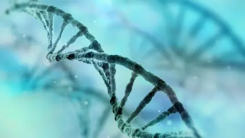 Getty Images The human genome