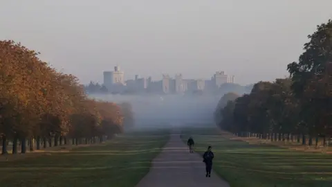 Lesley Bosworth  SUNDAY - Windsor