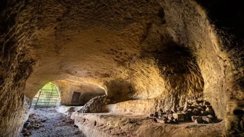 Lamar Francois A cave