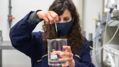 Andrew Matthews Student