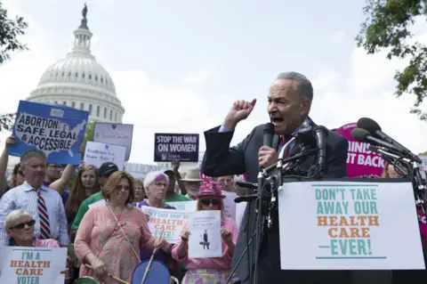 European Photopress Agency Chuck Schumer with protesters in Washington