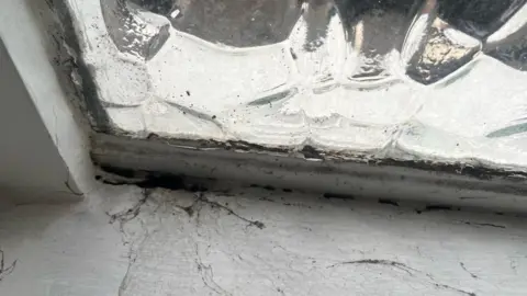 Hole in window sill where snake disappeared