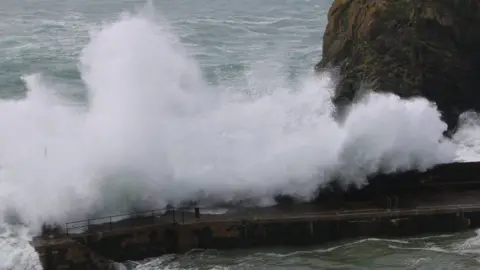 Jo Shreeve Mullion Cove