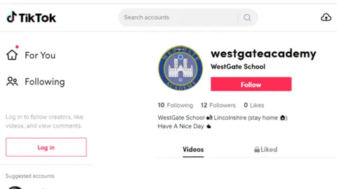TikTok Screengrab of fake site