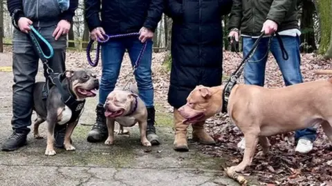 American bully XL owners speak of heartbreak at ban - BBC News