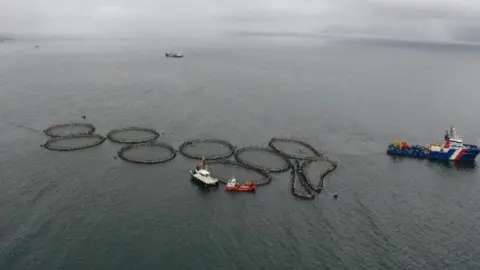 Corin Smith fish farm