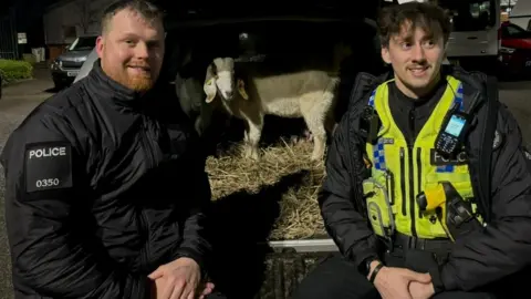 Dorset Police Pets goats Pickle and Pepper