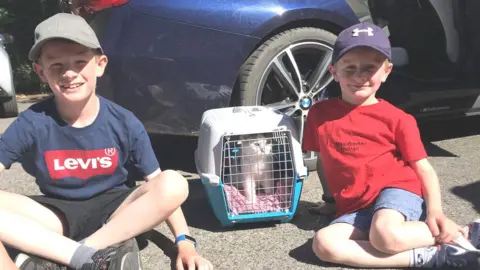 RSPCA Image of two young boys with a kitten in a carry case