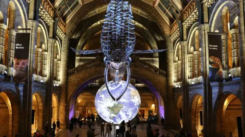 Leeds City Council Gaia was shown at the Natural History Museum's Dinosaurs gallery