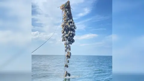 MAIB Whelk pots and gear being recovered