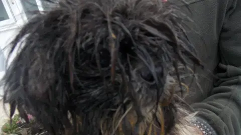 RSPCA The owners have been banned from keeping animals for five years