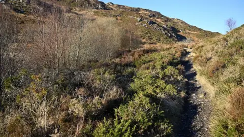 Ray Wood The path as it previously looked