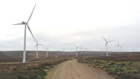 Adam Ward Fallago Rig