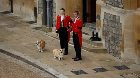 Reuters Corgi