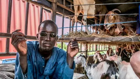 AFP A trader sits in their van, loaded with animals, as they wait at the border in Malanville between Benin and Niger on September 18, 2023.