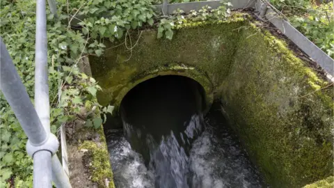 Getty Images Sewage is discharged into Earlswood brook from the nearby treatment works, run by Thames Water on April 13, 2023