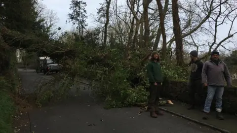 Men by downed tree