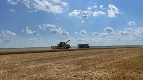 Combine harvester at work collecting grain in Poltava