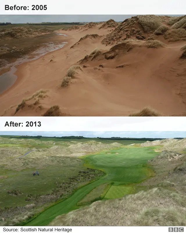 trump golf course before and after