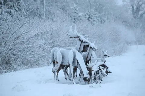 PA Media Reindeer sculptures covered in snow