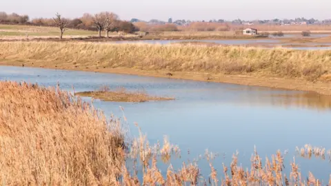 Getty Images Salt marshes at Fingringhoe Wick