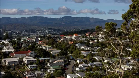 Getty Images A view of Wellington City in New Zealand