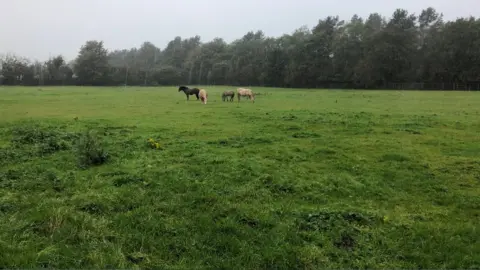Village of Llanfairpwll