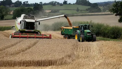 Getty Images wheat