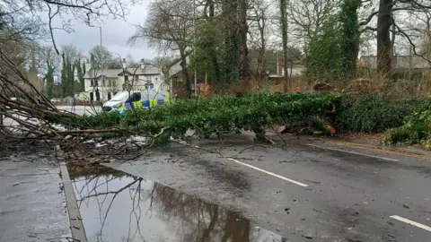 Manchester City Council Tree fallen on road